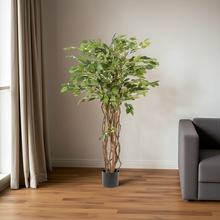 Kunstplant - Ficus liana Vioolbladplant - Hoogte ↕ 140cm