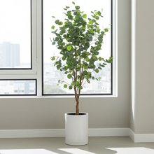 XL kunstplant - Eucalyptus Blauwe Gomboom - Hoogte ↕ 140cm