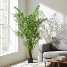 XL Kunstplant - Areca Lutescens Goudpalm - Hoogte ↕ 240cm