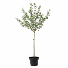 XL Kunstplant - Kunstolijfboom - Hoogte ↕ 150cm