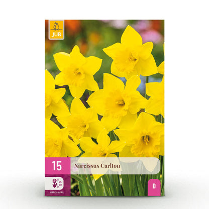 Bloembollen 15x Narcis Carlton - Geel - Bolmaat 12/14