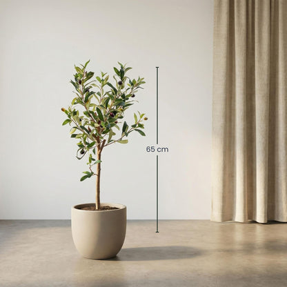 Kunstplant - Olijfboom in pot - Hoogte ↕ 65cm