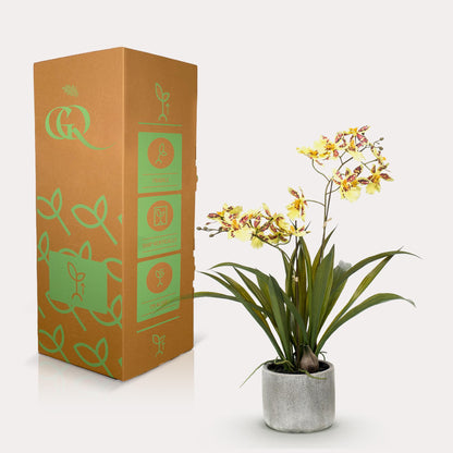 Kunstplant - Orchidee Geel - 45cm