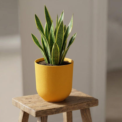 Sierpot - Jazz Round Amber Yellow - Pot Ø 23cm
