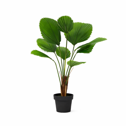 XL Kunstplant - Licuala Grandis - Hoogte ↕ 104cm