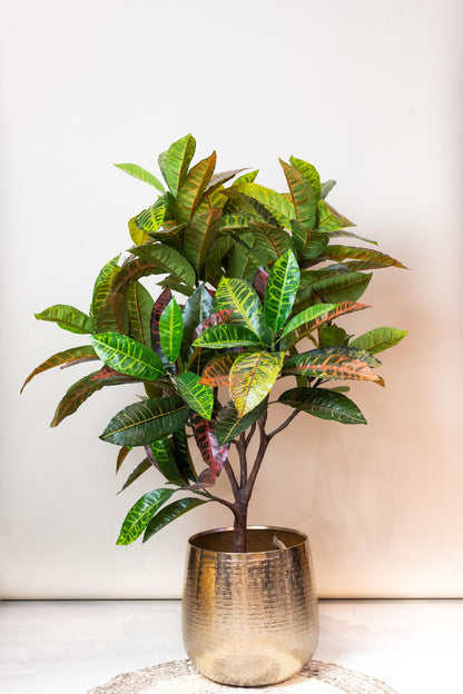 Kunstplant - Croton Codiaeum Wonderstruik - Hoogte ↕ 120cm