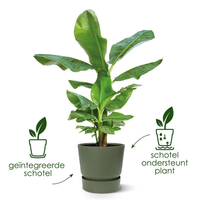 Sierpot - Elho Greenville Round Wit - Ø 30cm x H 28cm