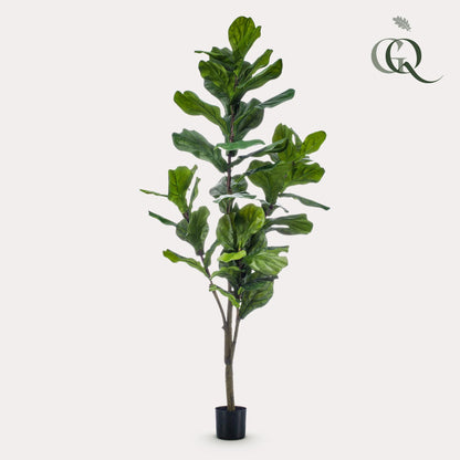 Kunstplant XL - Ficus Lyrata - Tabaksplant - Hoogte ↕ 150cm