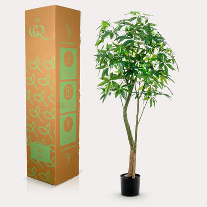 XL Kunstplant - Pachira Aquatica Geldboom - Hoogte ↕ 180cm