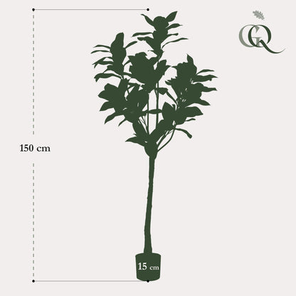 XL Kunstplant - Magnolia Grandiflora - Hoogte ↕ 150cm