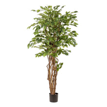 Kunstplant - Ficus liana Vioolbladplant - Hoogte ↕ 170cm
