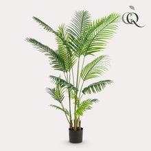 XL Kunstplant - Howea Forsteriana - Hoogte ↕ 160cm