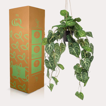 Kunstplant - Anthurium Clarinervium Aderplant - Hoogte ↕ 80cm