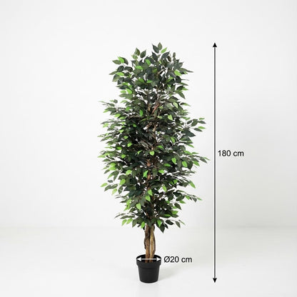 XL Kunstplant - Ficus Benjamina - Hoogte ↕ 180cm