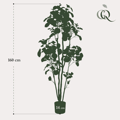 XL Kunstplant - Polyscias Aralia - Hoogte ↕ 160cm