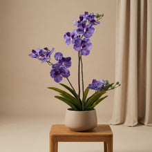 Kunstplant - Orchidee Vanda - Paars - In pot - Hoogte ↕ 60cm