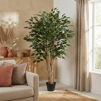 XL Kunstplant - Ficus Benjamina - Hoogte ↕ 150cm