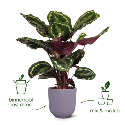 Sierpot - Jazz Round Tuscan Red - Ø 14cm H 13cm
