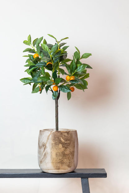 Kunstplant - Citrus Sinensis - Sinaasappelboom - Hoogte ↕ 75cm