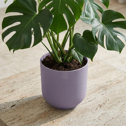 Sierpot - Jazz Round Lavender Lilac - Ø 23cm