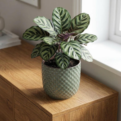 Sierpot - Mini Pot Relief Groen - Ø 7cm