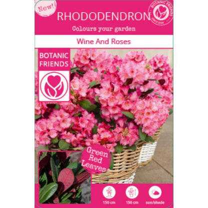Buitenplant - Rhododendron 'Wine & Roses' - Bloeiend - Pot Ø 13cm Hoogte ↕ 20cm