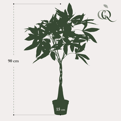 Kunstplant - Pachira aquatica Geldboom - Hoogte ↕ 90cm