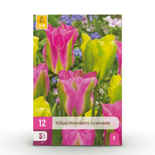 Buitenplant - Tulp Strawberry Lemonade - Bloeiend - 12 bollen Bolmaat 11/12
