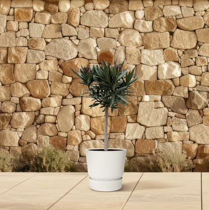 Buitenplant - Nerium Oleander op stam - Roze bloem - Pot Ø 22cm Hoogte ↕ 90cm