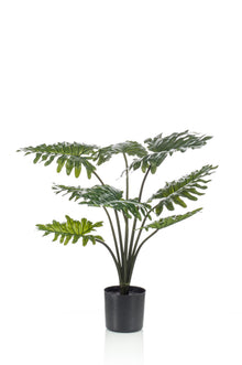 Kunstplant - Philodendron - Hoogte ↕ 60cm