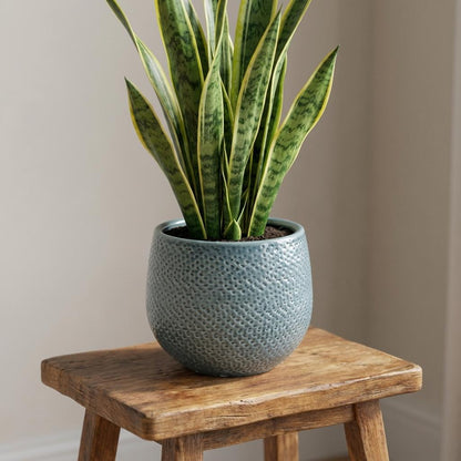 Pot Gabriel Rond Blauw - Ø 14cm