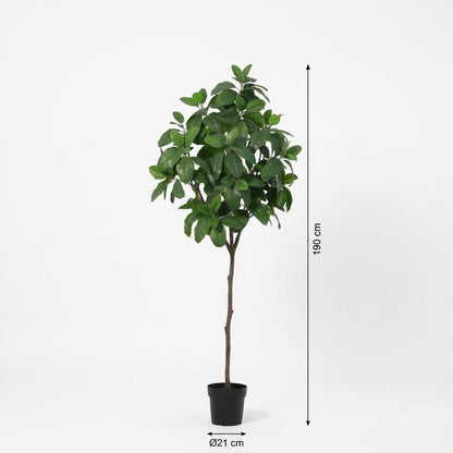 Kunstplant - Magnolia - Hoogte ↕ 190cm