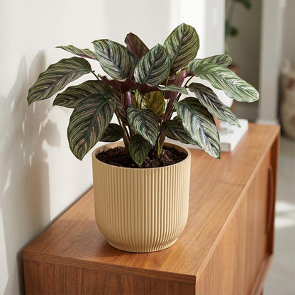 Sierpot - Vibes Fold 18cm Geel