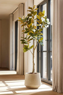 XL Kunstplant - Magnolia Denudata - Kunstboom - Hoogte ↕ 150cm