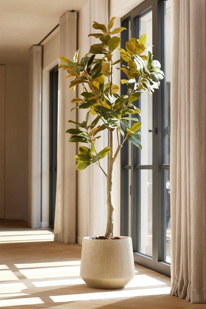 XL Kunstplant - Magnolia Denudata - Kunstboom - Hoogte ↕ 150cm