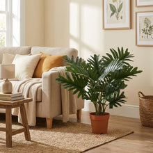 Kunstplant - Philodendron Selloum - Hoogte ↕ 70cm