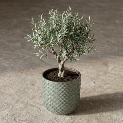 Pot - Pot Relief Groen - Ø 13,5cm