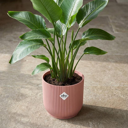 Sierpot - Vibes Fold 14cm - Roze