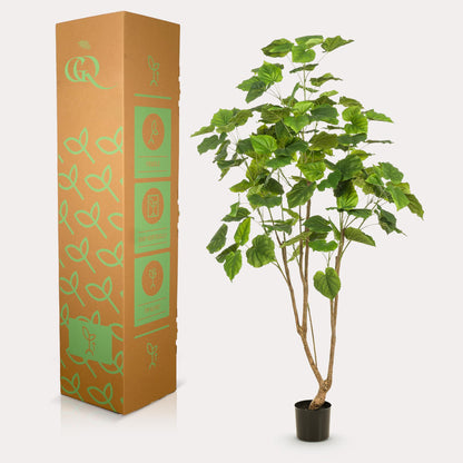 XL kunstplant - Ficus umbellata - Afrikaanse vijg - Hoogte ↕ 180cm