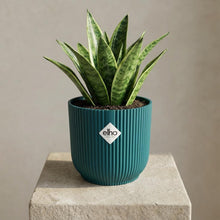 Sierpot - Vibes Fold 22cm Blauw