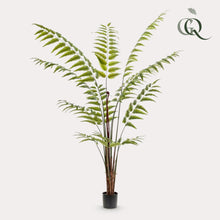 Kunstplant XL - Rumohra Adiantiformis Ledervaren - Hoogte ↕ 180cm