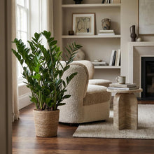 Kamerplant - Zamioculcas Zamiifolia - met zeegras mand naturel - Pot Ø 21cm Hoogte ↕ 80cm