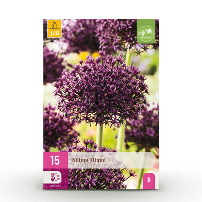 Buitenplant 15x Allium Miami - Bloeiend - Bolmaat 10/11