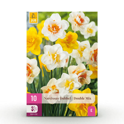 Bloembollen 10x Narcis Double mix - Geel & Wit - Bolmaat 12/14