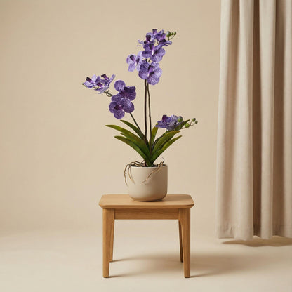 Kunstplant - Orchidee Vanda - Paars - In pot - Hoogte ↕ 60cm