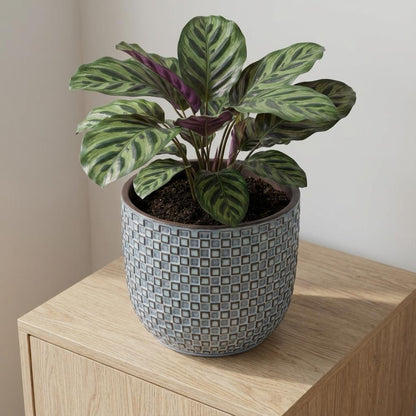 Pot - Pot Relief Blauw - Ø 13.5cm