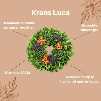 Krans - Echte krans Luca - Ø 30cm