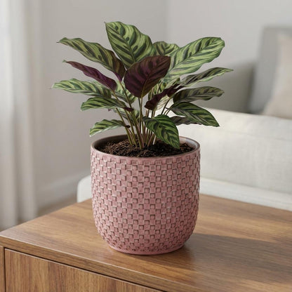 Sierpot - Mini Pot Relief Roze - Ø 7cm