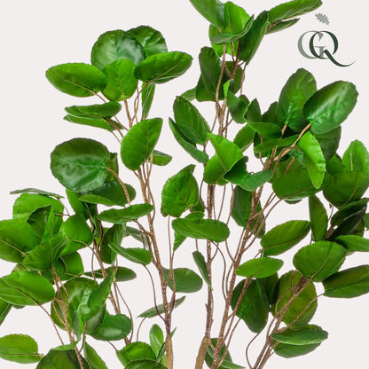 XL Kunstplant - Polyscias Aralia - Hoogte ↕ 150cm