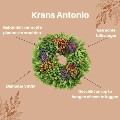 Decoratieve krans - Echte krans Antonio - Ø 30cm